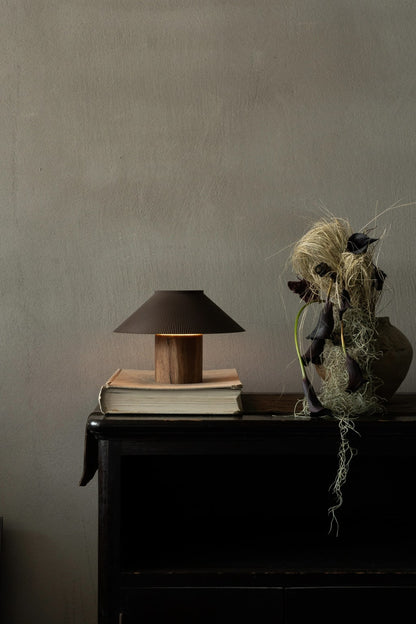 The Dappled Lamp