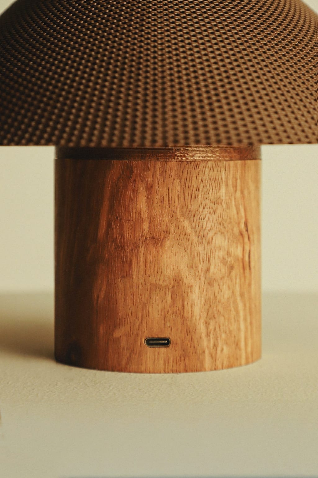 The Dappled Lamp