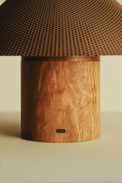 The Dappled Lamp
