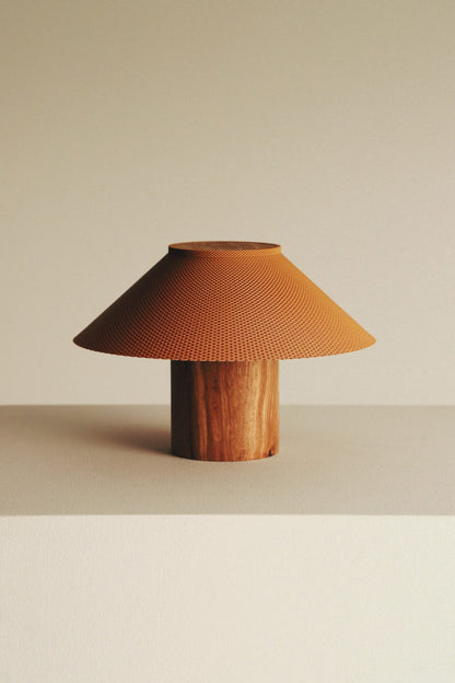 The Dappled Lamp
