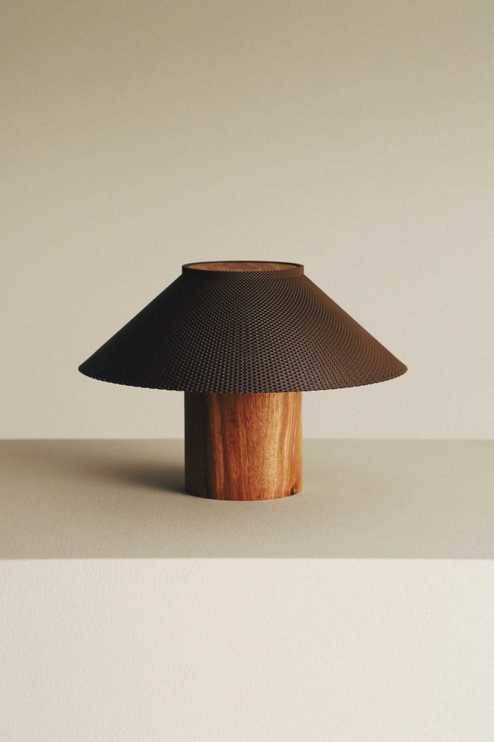The Dappled Lamp