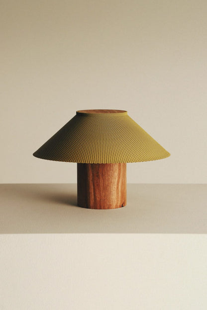 The Dappled Lamp
