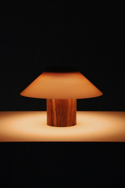 The Dappled Lamp