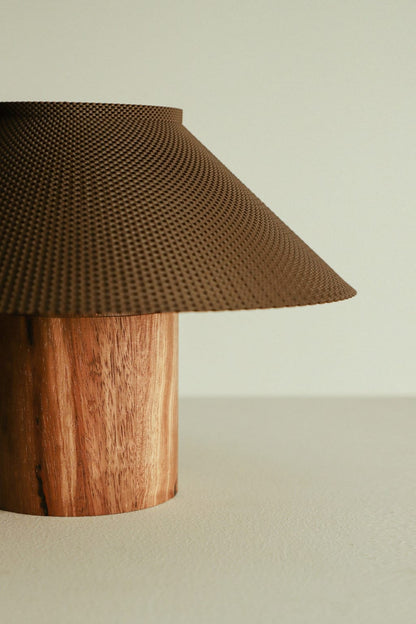 The Dappled Lamp