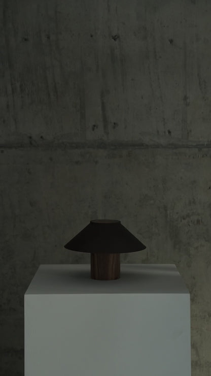 The Dappled Lamp