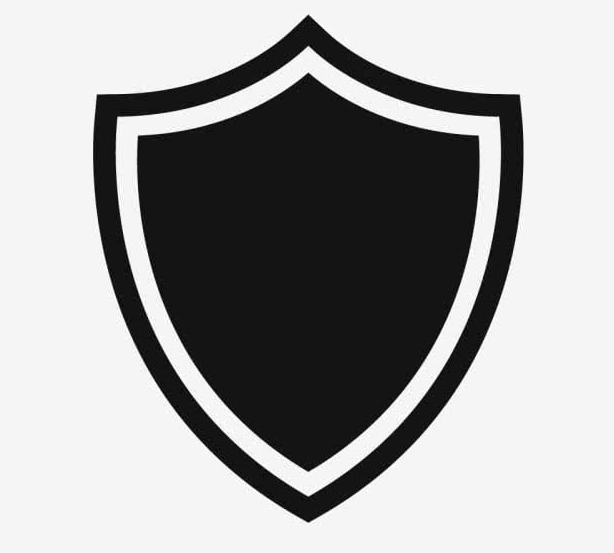 <p><strong>Professional</strong></p>